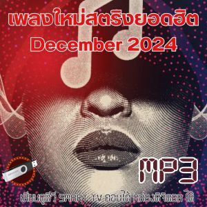 SB แฟลชไดรฟ์ - MP3 รวมเพลงฮิต TOP 100