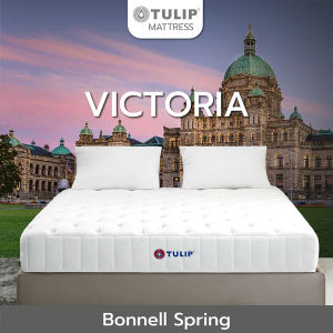 ที่นอน Tulip รุ่น VICTORIA (วิคตอเรีย) ที่นอนระบบบอนเนลล์สปริง แบบมาตรฐาน ผ้าทอสีขาวดีไซน์โมเดิร์น หนา 10 นิ้ว
