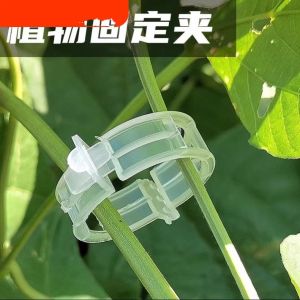 新款园艺卡扣夹 瓜果蔬菜长豆吊藤夹子 果树绑枝固定器 Home Garden Planting Clip Growing Clip Supporting Clip