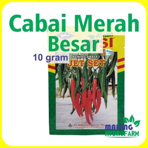 Benih Cabai Merah Besar Jet Set F1 10 gram Cap Kapal Terbang dataran menengah tinggi bibit biji sayuran cabe pesada pedas pedes hydroponik hidroponik
