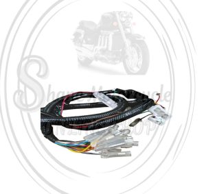 Wire Harness For TMX 155