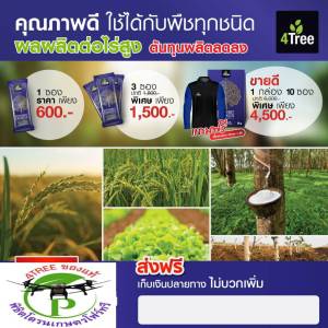 4Treeของแท้ โฟร์​ทรี ​1 กล่อง 10 ซอง 200 ไร่+เสื้อ 1ตัว สารเสริมประสิทธิภาพพืชสูตรอิออน นวัตกรรมใหม่จากประเทศอิสราเอล ช่วยเร่งราก โตเร็ว เขียวนาน ลดต้นทุน เพิ่มผลผลิต ใช้ได้กับพืชทุกชนิด ของแท้100%