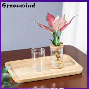【Greenwind】 Lazy Transparent Flowerpot Hydroponic Automatic Water Absorption Flowerpot