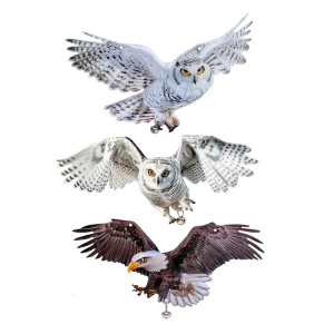 2 Piece Anti Bird Hanging Decors with Double Sided Owl and Durable Ropes for Yard Installation