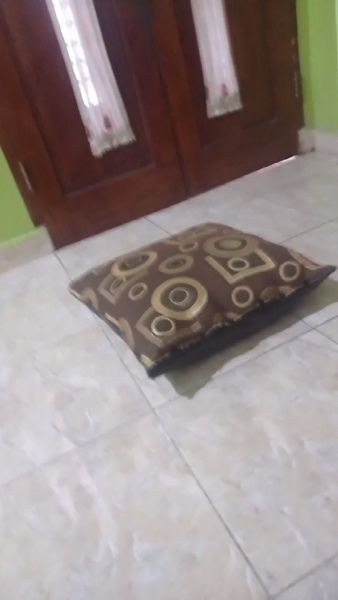 Buyer review video 2