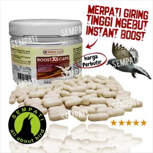 SEMPATI Boost X5 Caps Versele Laga Vitamin Kapsul Burung Merpati Balap Meningkatkan Tenaga Stamina Penguat Otot Juara Lomba BSTX5