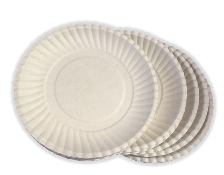 Cheap white on sale paper plates