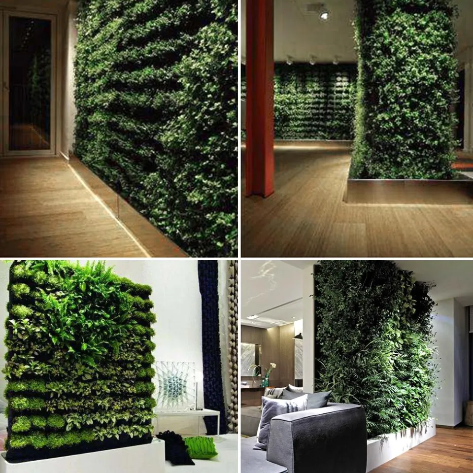  Cây Treo Tường Đứng