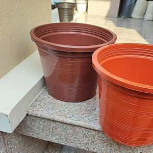 กระถาง 10 นิ้ว คละสี แพ็ค 5 ใบ มีสีเยอะกว่าในภาพ