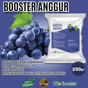 Pupuk Organik BOOSTER ANGGUR 250gr Pelebat Pemanis Pembesar Buah Anggur