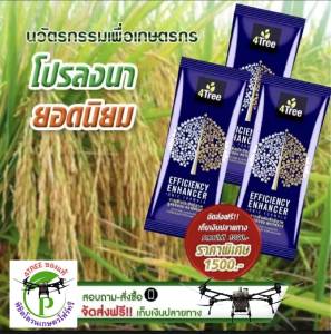 [ 3 ซอง] 4Tree​ของแท้ โฟร์​ทรี​ สารเสริมประสิทธิภาพพืชสูตรอิออน ช่วยเร่งราก พืชโตเร็ว ทำให้พืชเขียวทน ใช้ได้กับพืชทุกชนิด นวัตกรรมใหม่จากประเทศอิสราเอล ของแท้100%