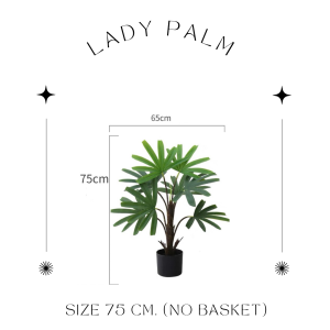 [Size75พร้อมส่ง/อื่นๆPRE14วันค่ะ]🌿LADY PALM TREE (ต้นจั๋งญี่ปุ่น) ต้นประดิษฐ์งานเหมือนจริง ปาล์มใบเหลี่ยมน่ารัก มินิมอลสุดๆแต่งบ้านสวยมาก