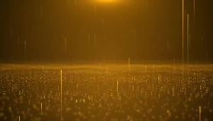 LZD  Yunqole Fluid Boron Foliar Fertilizer Water-Solubl Boron Fertilizer Promotes Flowering Fruit Agricultural Trace Element Sugar  Boron Boron Spray For Plants Boron Fiber - Lazada