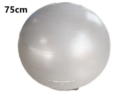 Professional Grade 75cm65cm55cm45cm Premium Anti-Burst Gym Ball Yoga Ball Anti-burst yoga ball swiss ball Extra Thick Stability Balance Ball Professional Grade Anti Burst & Slip Resistant Balance