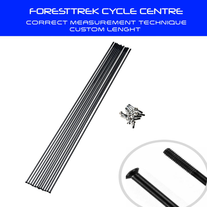 DT Swiss Competition Race 20 Set 14G Staight Pull Bicycle Spokes