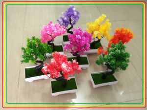 Tanaman Bunga Pajangan Dekorasi untuk Interior Rumah