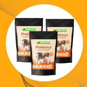 CHC Agritech Probiotics 300g for Healthy Pets and Livestock – Odor & Gut Care