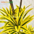 Pohon Artificial Tanaman Hias Song Of India T170 Variasi Warna Kuning & Putih Latex Cover Eceng Gondok Handle Dekorasi Ruangan Kantor Aesthetic. 
