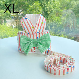 coolpet 🐶 สายจูงหมา แมว สุนัข เชือกรัดสัตว์เลี้ยง ชุดน่ารัก  มีหลายขนาดให้เลือก