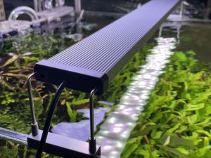 ĐÈN CHIHIROS B-SERIA B90