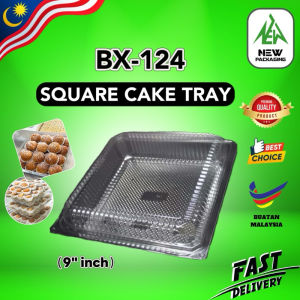 BX-124 9 Inch Square Cake Tray (10pcs) Clear Plastic Cake Box with Lid Disposable Bakery Container