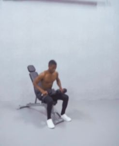 Gym Training Bench Workout Workout Bench Home Gym Chair Gym Chair Training Equipment Professional Fitness Chair Adjustable Small Birds Bench Press Equipment Abdominal Muscle Supine Board 腹肌