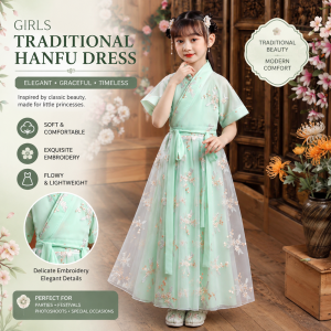 Girls Hanfu Princess Dress Chinese Traditional Costume Elegant Ancient Style Dresses for Kids DS04 Girl