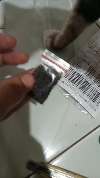 Buyer review video 2