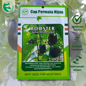 Benih Terong Ungu Pondoh BOOSTER 500 biji Cap PERMATA HIJAU