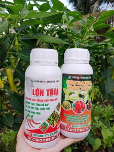 COMBO PHÂN BÓN LÁ SIÊU RA HOA ĐẬU TRÁI + LỚN TRÁI CHUYÊN DÙNG CHO ỚT