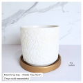 The Leaferie Noirra plant pots Ceramic flowerpot flowerpots flower pot planter planters. 