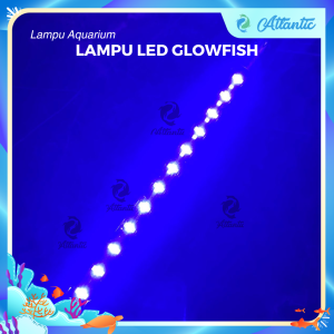 LED GLOFISH Lampu Ikan Glowfish Ikan Warna Warni Lampu Celup Putih Biru