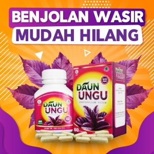 Daun ungu obat wasir dan ambien BPOM Kapsul Ekstrak Daun Ungu isi 60 kapsul