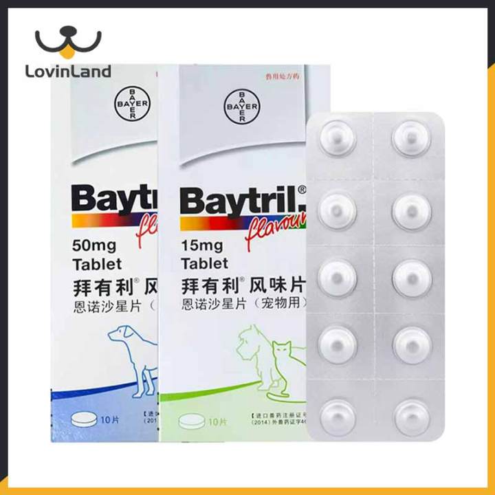 Bayer Baytril Chewable Tablets for Dogs and Cats Treatment of Digestive ...