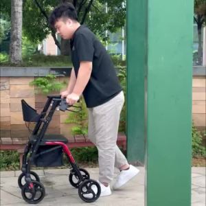 Multifunctional Elderly Walking Aid Foldable Pushable Wheelchair With Seat Design Hand-push Mobility Device Stable Support Safety Walking Helper For Senior Disabled Daily Outdoor Travel