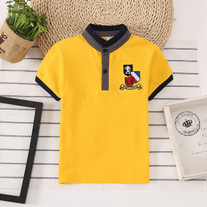 Hot Sale Kids T shirt Boy polo shirt 100% Cotton baby clothing Korean Fashion Children wear