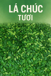 Lá Chúc 05kg. Lá chanh thái tươi