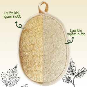 [Combo tiết kiệm] Combo 3 Bông tắm xơ mướp loại lớn có quai cầm giúp massage da và loại bỏ tế bào chết nhẹ nhàng- Xơ thượng hạng xuất Mỹ
