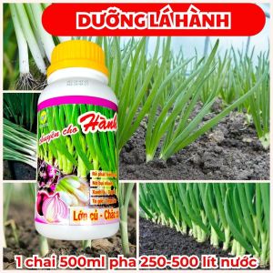 Phân Bón Lá Chuyên Hành - Ra Rễ - Nở Bụi Hành - Mập Cọng Hành - Nở Cổ Hành - To Cọng Hành - Dày Ống Hành - Xanh Lá Hành