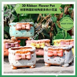 KDH Cute Ribbon Flower Succulent Cactus Pot Pasu Bunga Sukulen Cacti