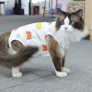 Cat Recovery Suit Specialized post-neutering clothing for cats anti-licking clothing pet physiological pants thin and breathable post-surgery anti-lick pet bodysuit female cat recovery clothing