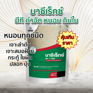 บาซิลลัส ทูริงเยนซิส BT เชื้อรากำจัดหนอน กำจัดแมลงศัตรูพืช ป้องกันแมลงกินใบ หนอนกินใบ หนอนเจาะผล เจาะลำต้น กำจัดหนอนใยผัก หนอนชอนใบ