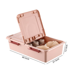 Vision Underwear Storage Box With Cover Dustproof Compartment Socks Organizer Plastic Storage Box Panties Storage Cabinet Wardrobe Drawer Partition Storage Organiser