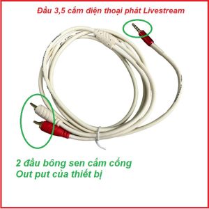 Dây Livestream-Thu âm mẫu mới cao cấp cho MixerTruyền tín hiệu âm thanh tốtchống nhiễu