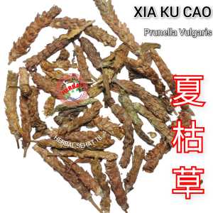 Xia Ku Cao 100 Gram 夏枯草 Xia Ku Cao Herbal Xia Gu Cao Herba Prunella vulgaris Bahan Liangteh