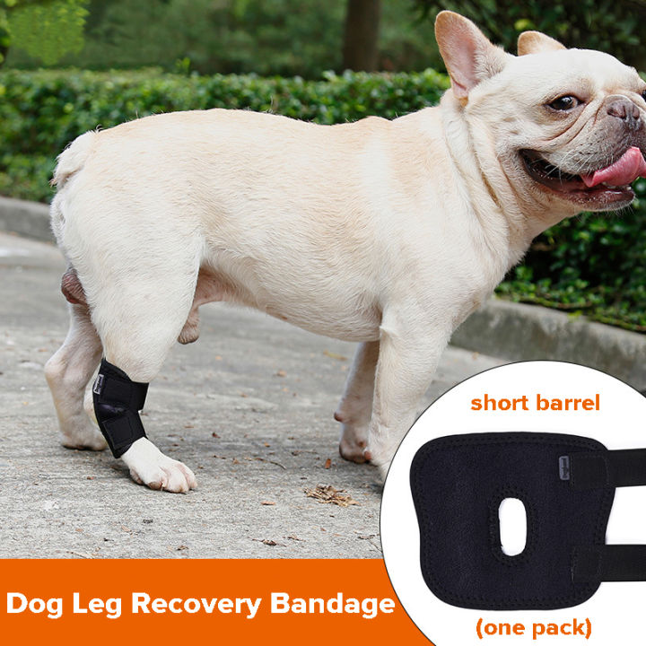 Kakaoppa 1pc Pet Breathable Joint Recovery Bandage Dog Knee Pads