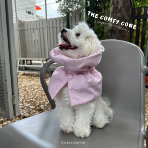 ปลอกคอกันเลียทรงสูง COMFY CONE น้ำหนักเบา กันน้ำ คอลล่ากันเลียแมว ปลอกคอกันเลียสุนัข