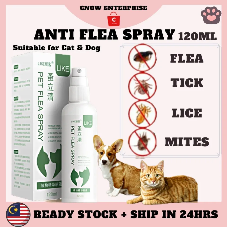 Anti flea hot sale spray