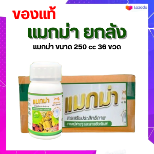แมกม่าราคาพิเศษ ยกลังขนาด 250 cc 36 ขวด ช่วยให้ปุ๋ยน้ำ ยาสารฮอร์โมน ต่างๆแทรกซึมเร็วภายใน 3-5 นาที ของแท้100%