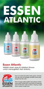 Essen Lele Atlantic Umpan Pancing Galatama: Manfaat & Cara Penggunaan